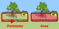Perimeter and Area of Polygons Perimeter and Area of Polygons