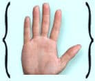 Fingers