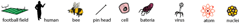 Math and Science