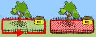 Area of a Rectangle Area of a Rectangle