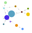 Network Graphs